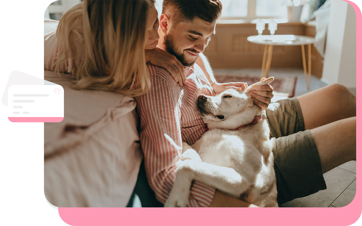 Namuh – pet pass para colaboradores paes e maes de pet Namuh - pet pass para colaboradores paes e maes de pet